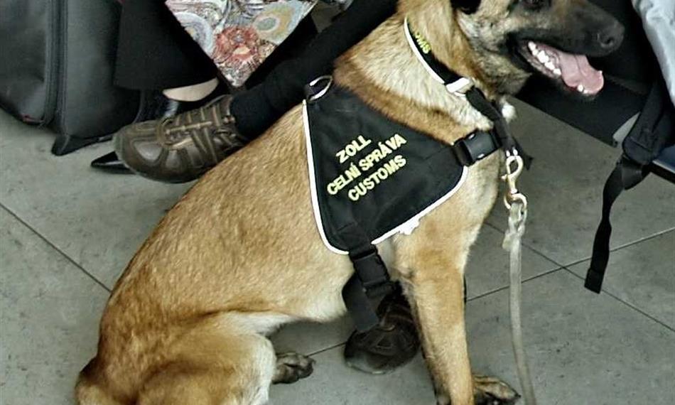 2016-8-25-1140foto 2.jpg